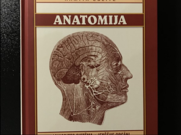 Anatomija II Asinsrites sistēma. Iekšējie orgāni