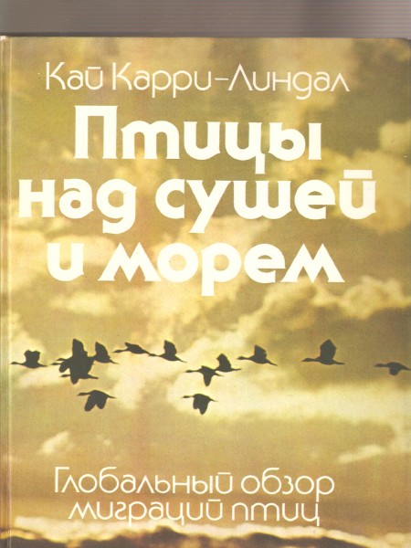 Птицы над сушей и морем