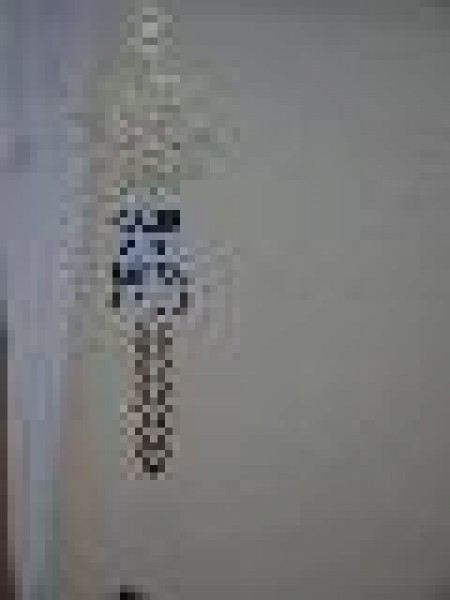 CAUR ZILU MŪŽA DZEJU