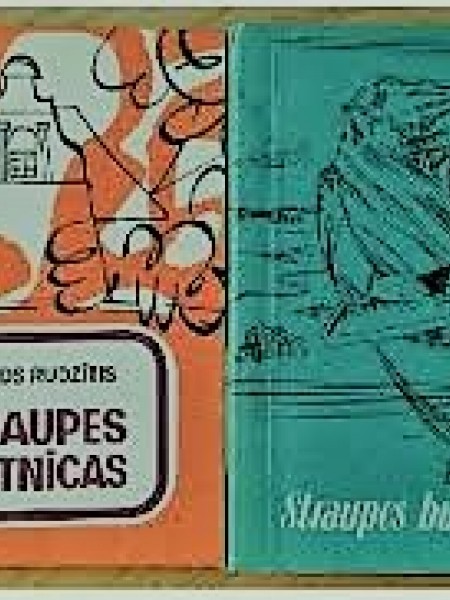 Straupes burtnīcas I, II