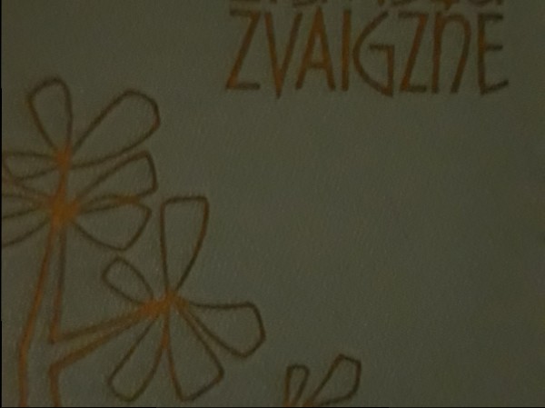 Deg Ziemeļu Zvaigzne