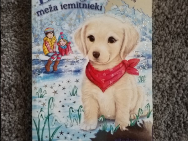 Burvju meža iemītnieki - Rozīte Jandāliņa