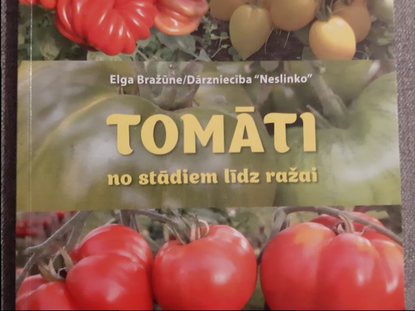 Tomāti no stādiem līdz ražai