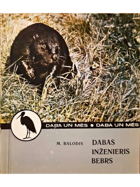 DABAS INŽENIERIS BEBRS