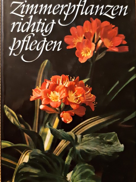 ZIMMERPFLANZEN RICHTIG PFLEGEN