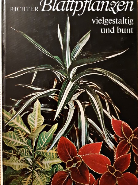 BLATTPFLANZEN VIELGESTALTIG UND BUNT