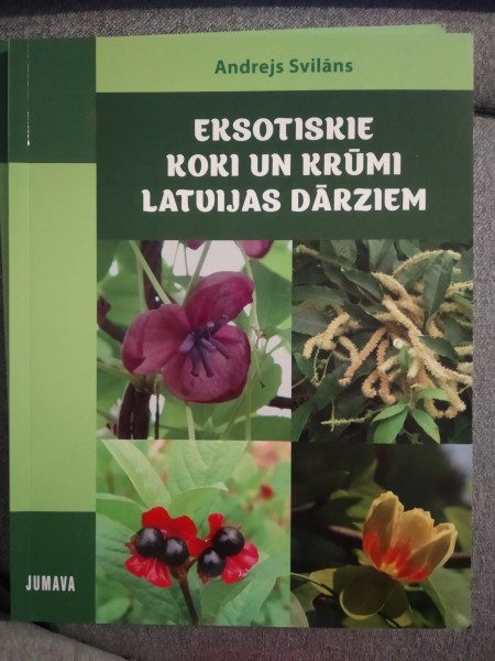 Eksotiskie koki un krūmi Latvijas dārziem