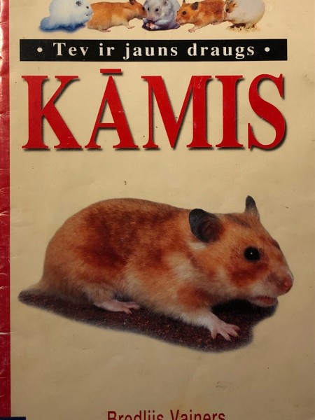 Kāmis
