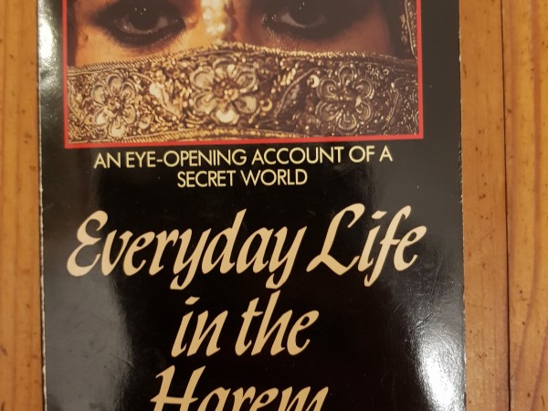 Everyday Life in the Harem