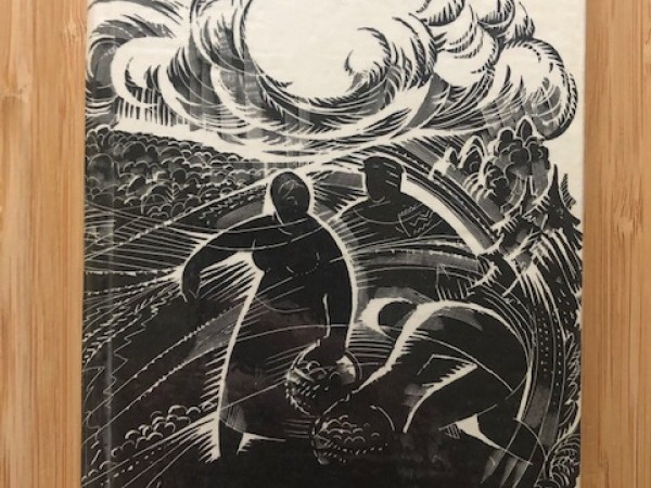 Kartupeļu rakšana Ērgļos