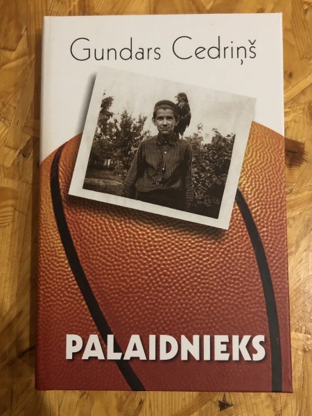 Palaidnieks
