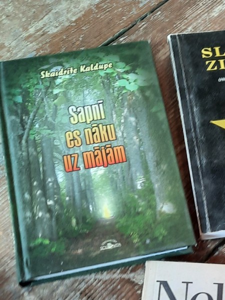 Sapnī es nāku uz mājām