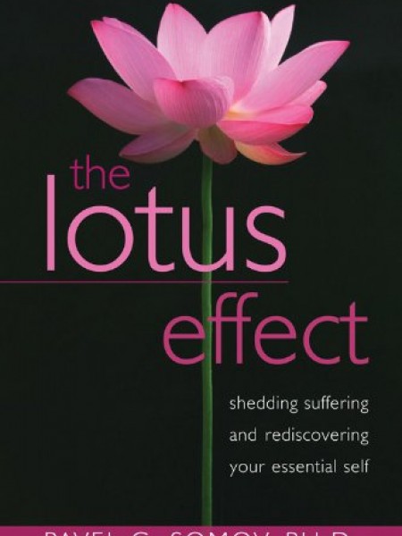 The Lotus Effect: Shedding Suffering and Rediscovering Your Essential Self