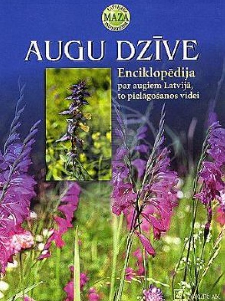 Augu dzīve Nr17