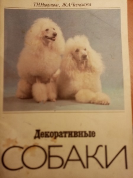 ДЕКOРАТИВНЫЕ СОБАКИ