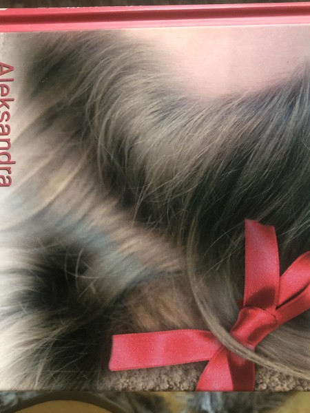 Vientulības gaudojošie suņi