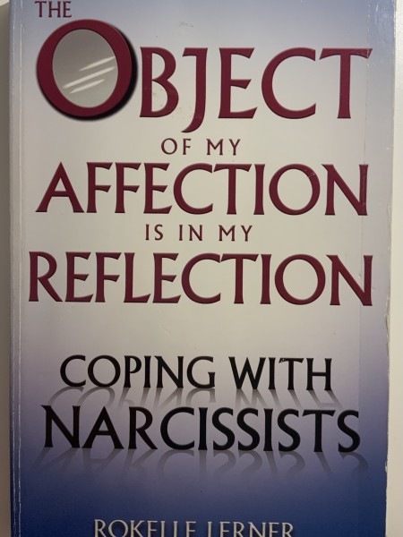 Object of my affection is in my reflection. Coping with narcissists