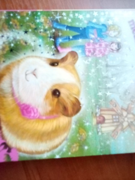 Burvju meža iemītnieki