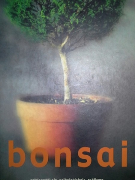 bonsai