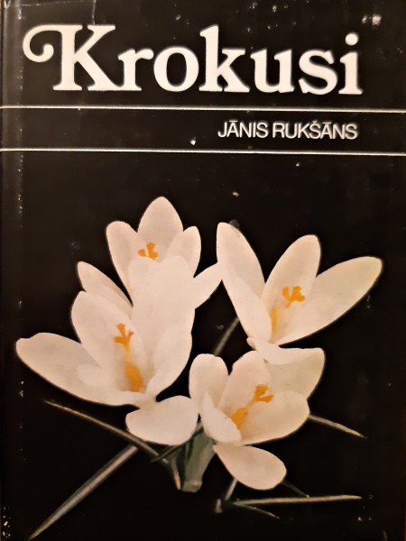 Krokusi