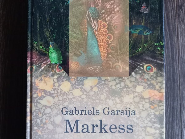 Simts vientulības gadu