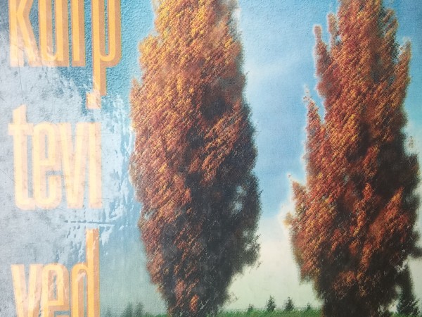 Ej,kur tevi ved sirds