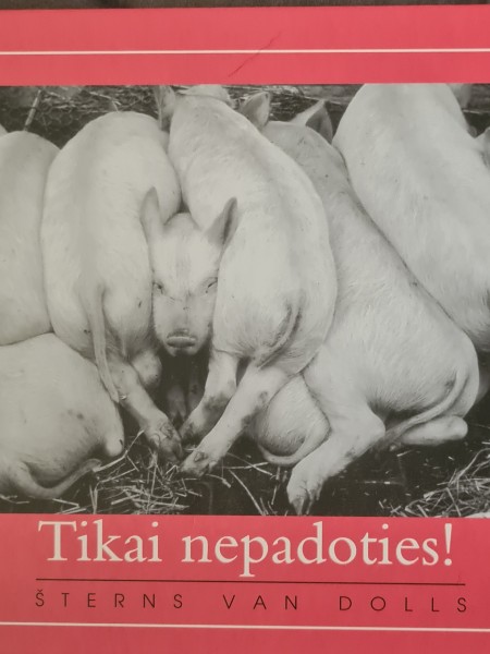 Tikai nepadodies