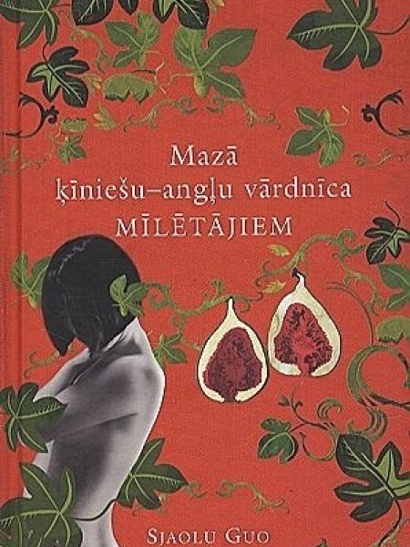 Mazā ķīniešu- angļu vārdnīca mīlētājiem