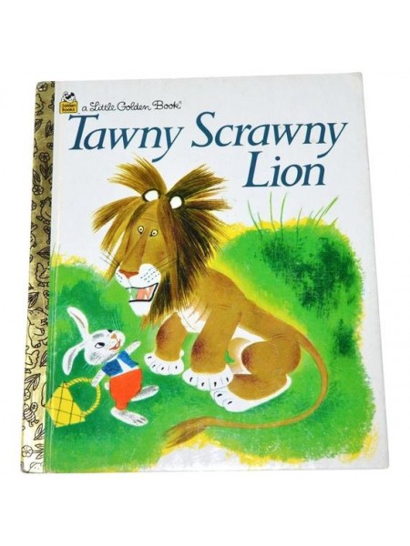 Tawny Scrawny Lion