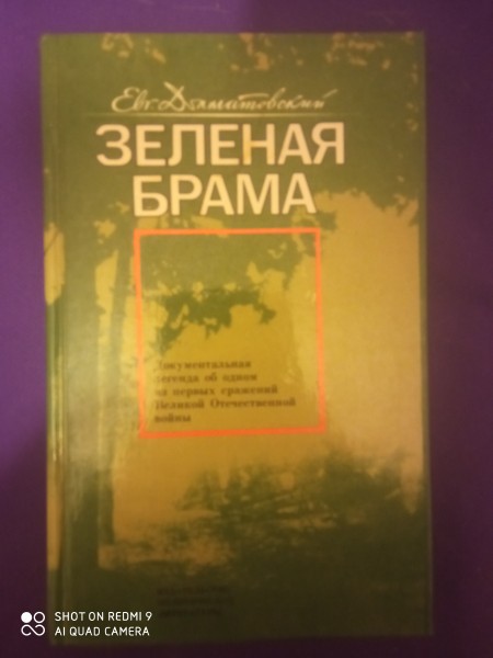 Зелёная брама