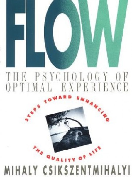 Flow: The Psychology of Optimal Experience