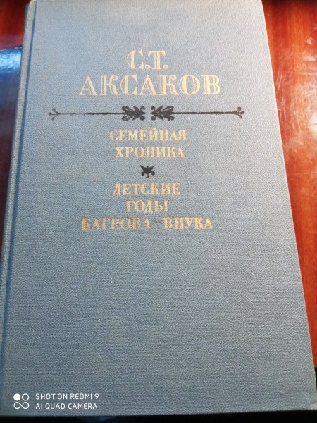 Семейная хроника