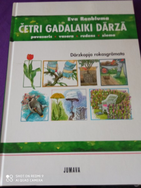 Četri gadalaiki dārzā