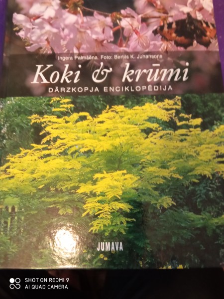 Koki un krūmi
