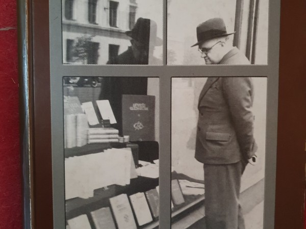 Aleksandra Čaka logi