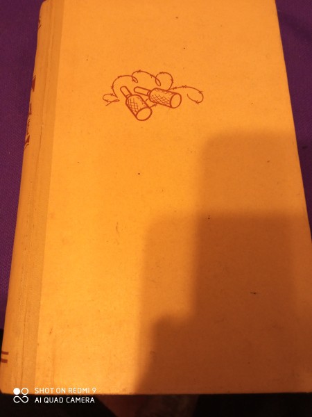 Karš ienaidnieka aizmugurē