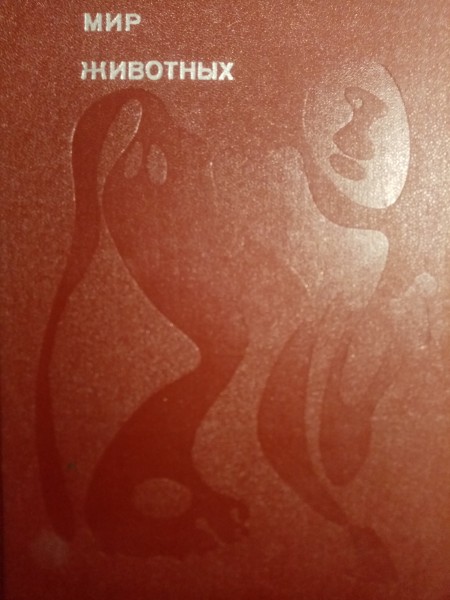 Мир животных. Рассказы о змеях, крокодилах, черепахах, лягушках, рыб.
