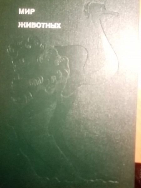 МИР ЖИВОТНЫХ