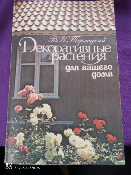 Декоративные растения  для  вашего  дома