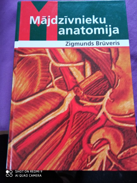 Mājdzīvnieku anatomija