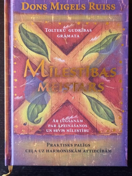 Mīlestības meistars