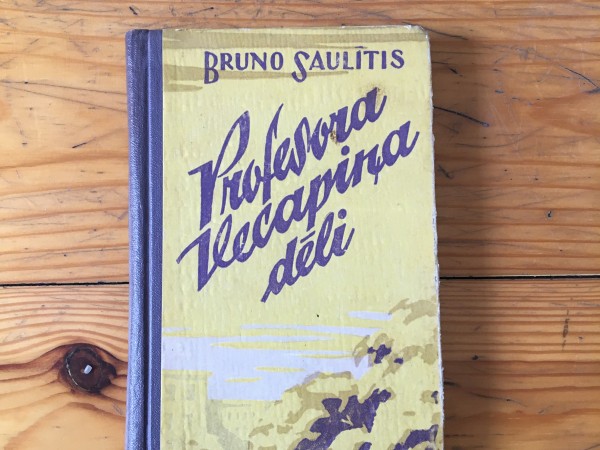 Profesora Vecapiņa dēli