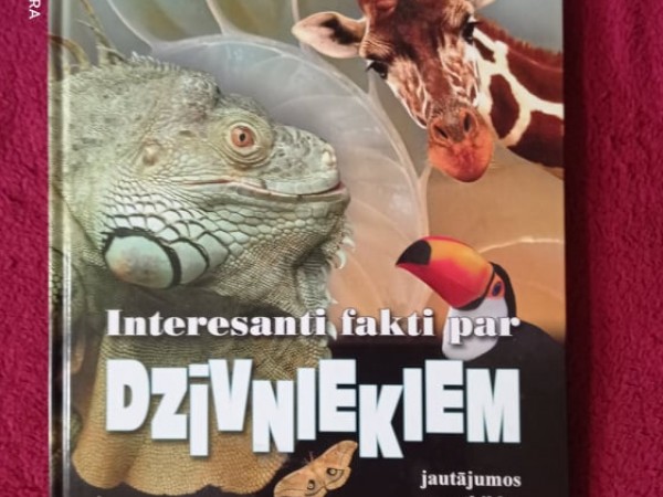 Interesanti fakti par dzīvniekiem: jautājumos un atbildēs