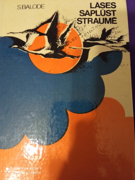 Lāses saplūst straumē