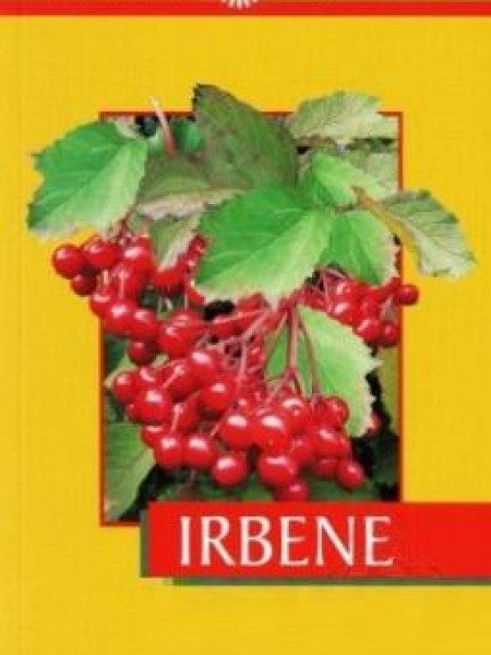 Irbene