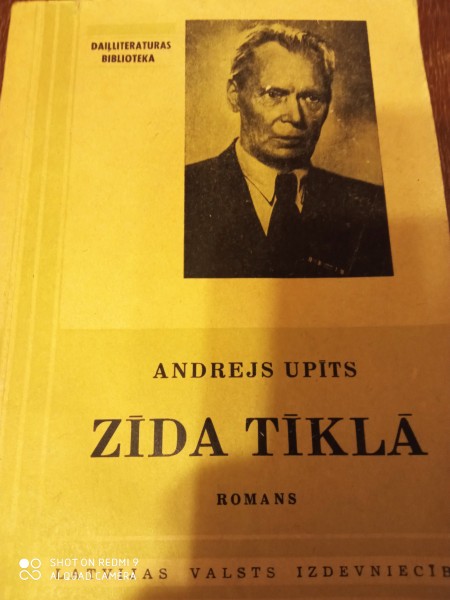 Zīda tīklā