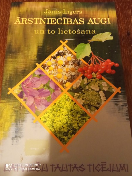 Ārstniecības augi un to  lietošana