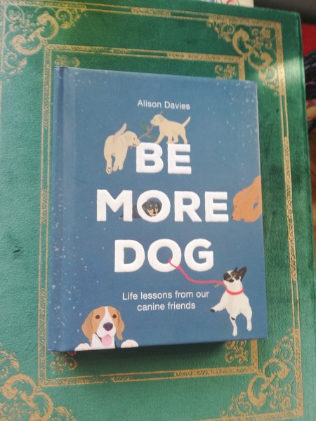 Be More Dog. Life lessons from our canine friends.