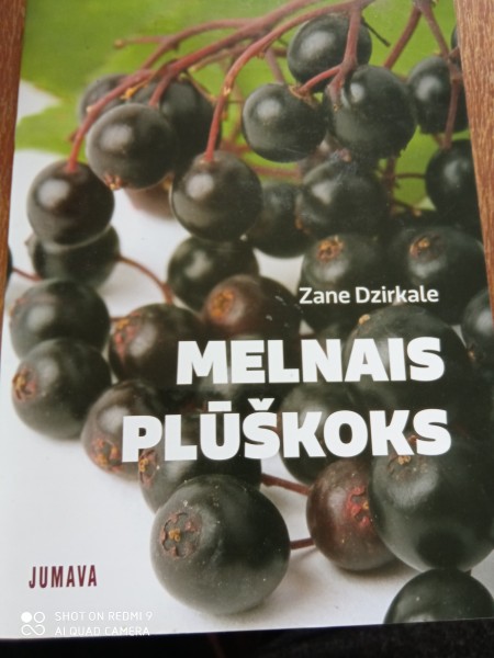 Melnais plūškoks