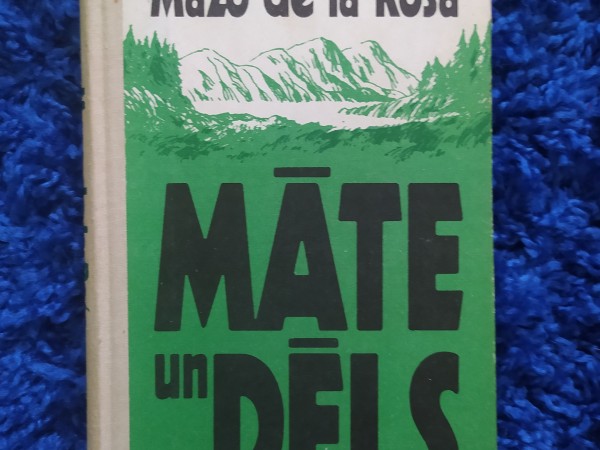 Māte un dēls